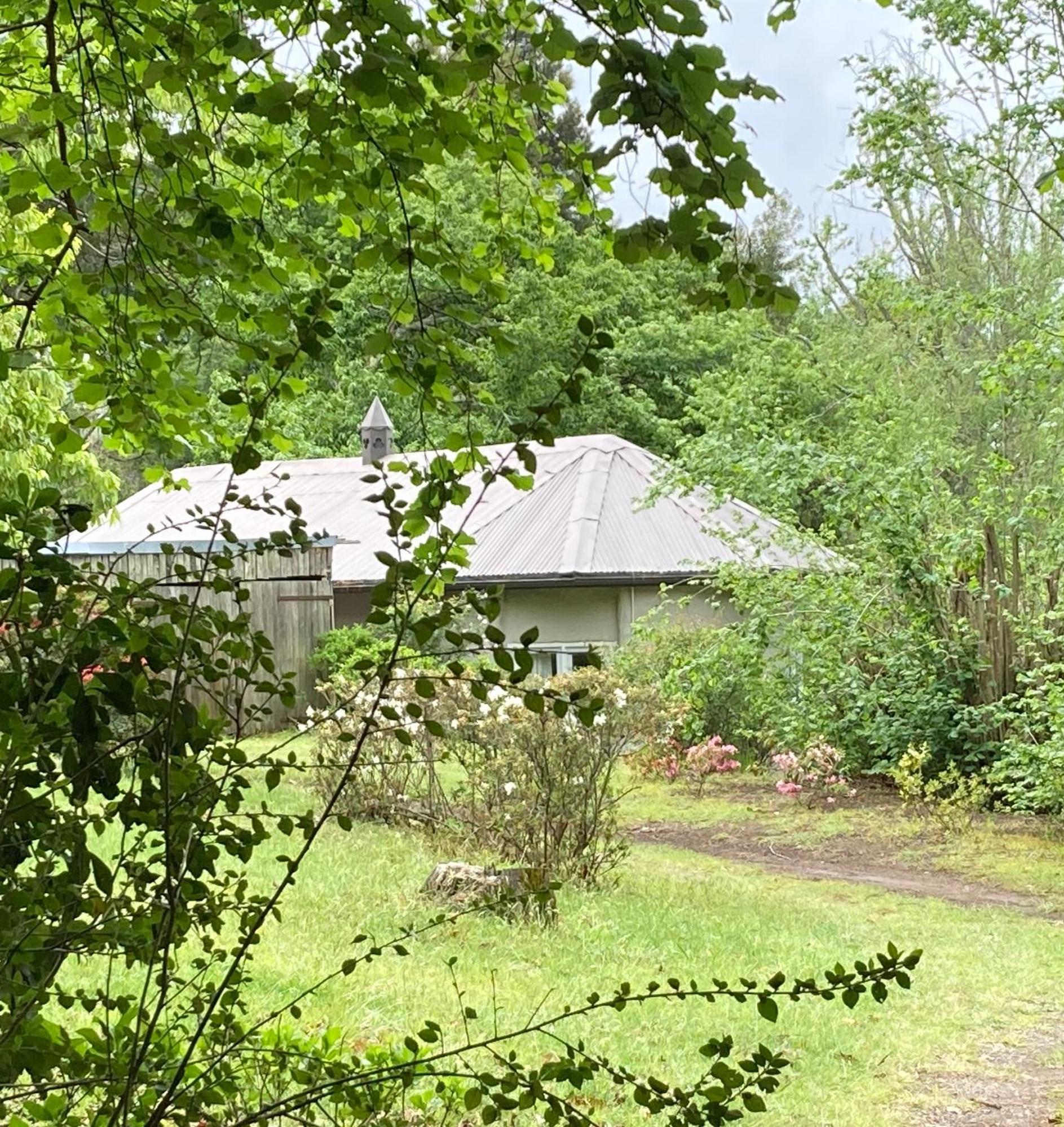 Bramber Cottage Hogsback, Living With Joy! Buitenkant foto