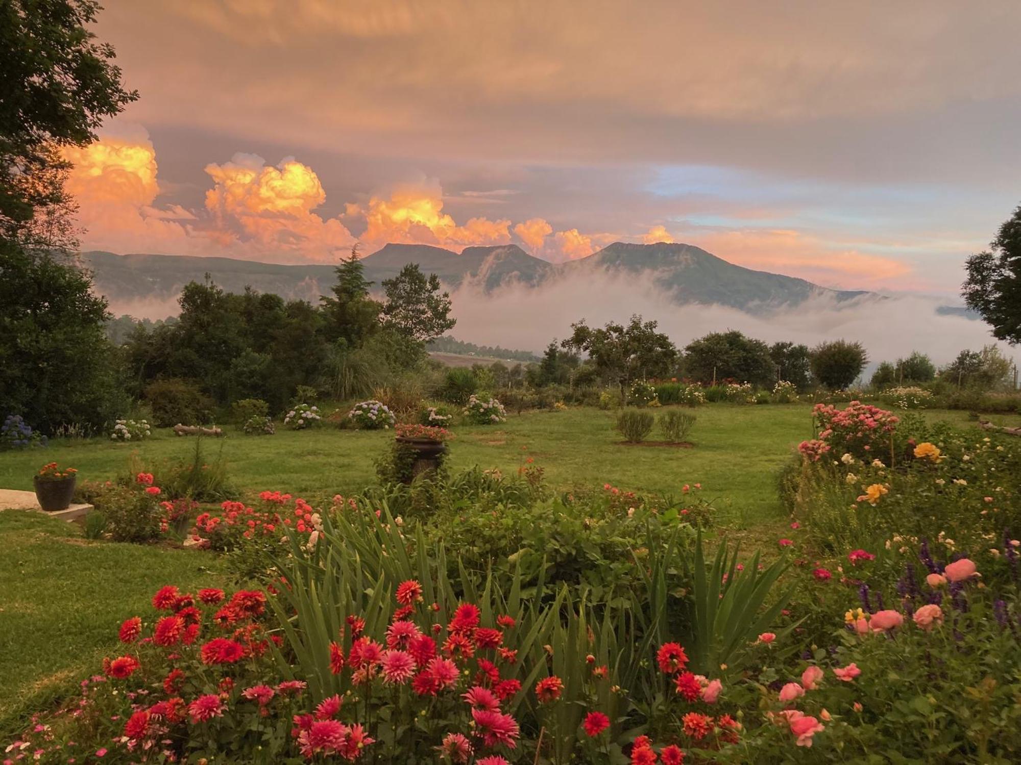 Bramber Cottage Hogsback, Living With Joy! Buitenkant foto