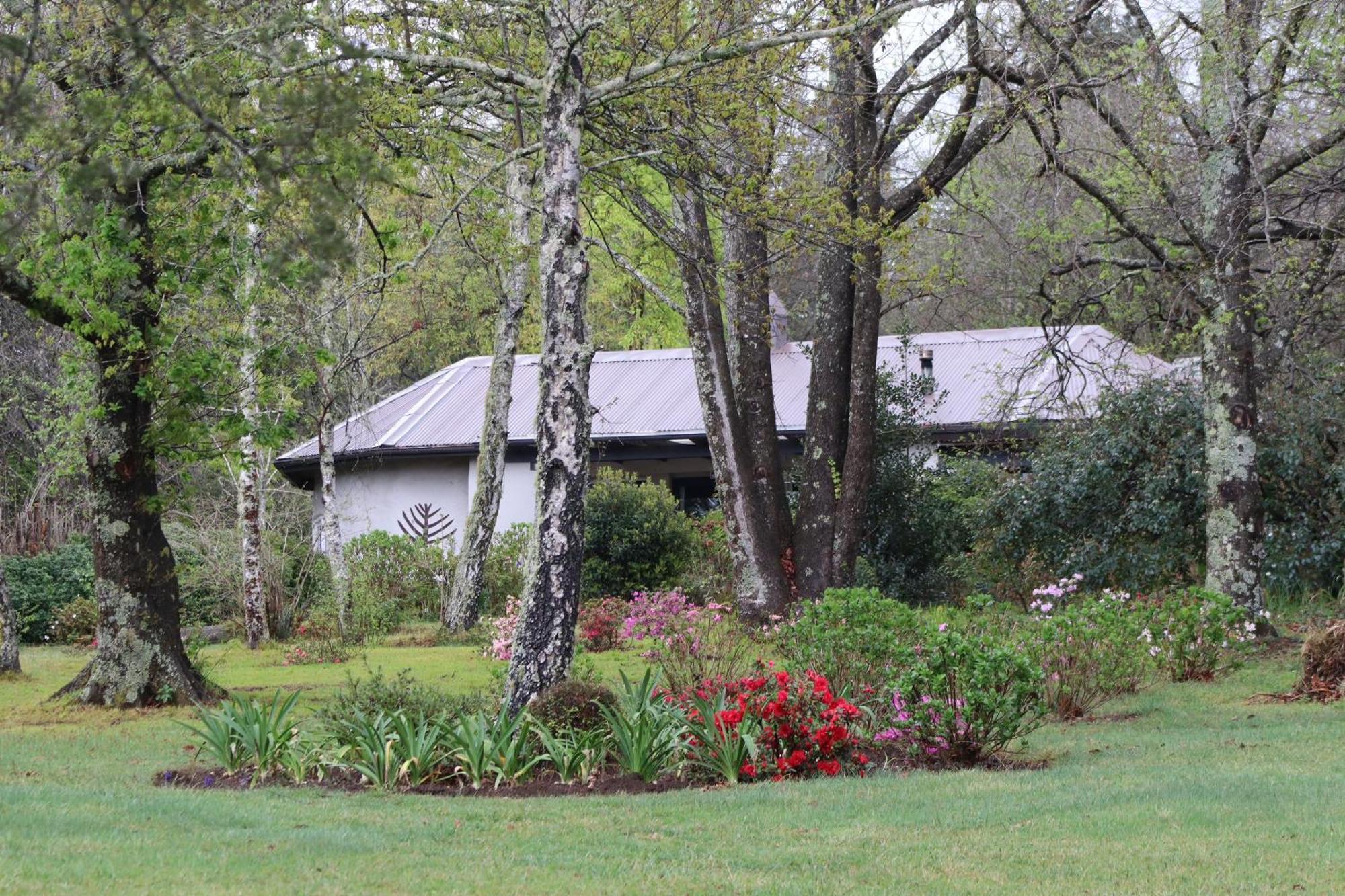 Bramber Cottage Hogsback, Living With Joy! Buitenkant foto