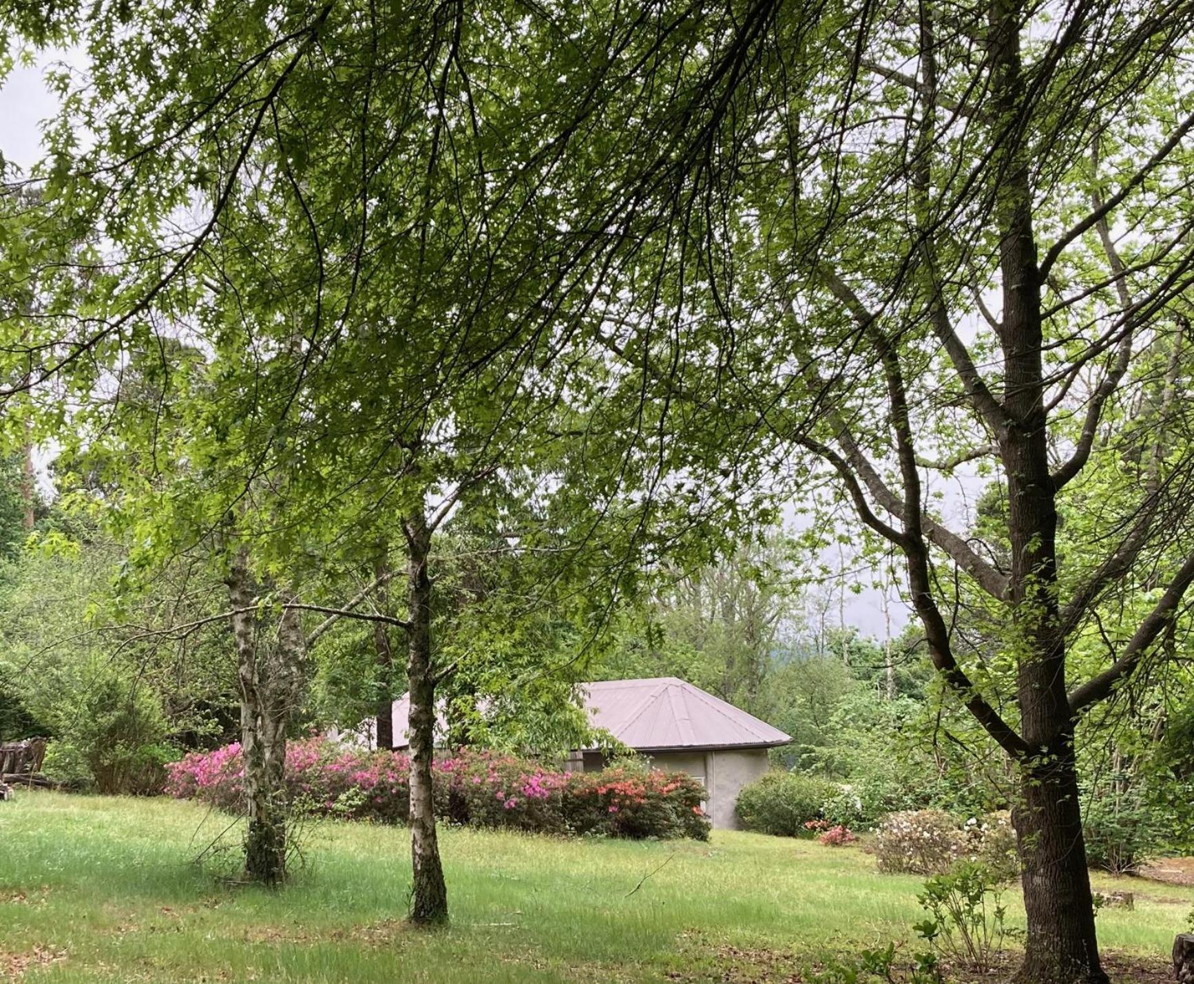 Bramber Cottage Hogsback, Living With Joy! Buitenkant foto